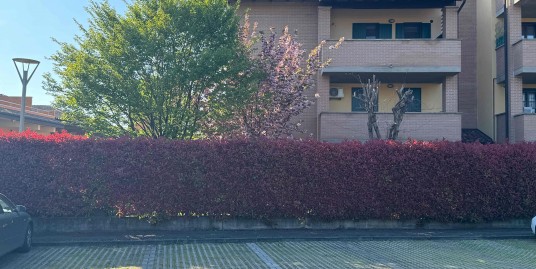Appartamento con giardino privato